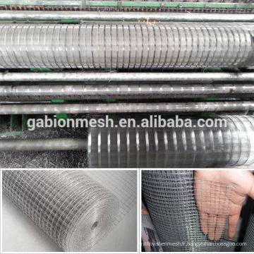 Maille métallique soudée galvanisée / PVC moulé métallique soudé (prix d&#39;usine)